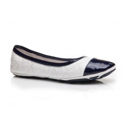 Ranger White with Navy